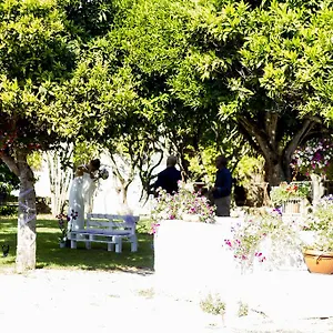 La Purissima Alguer